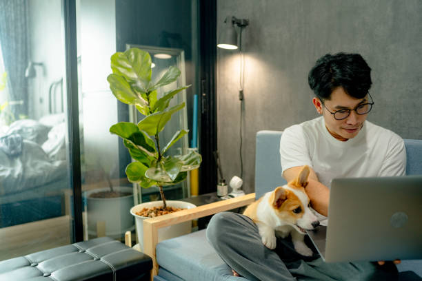 istock Blogger writing an article with cute Corgi dog besides. 1347044160