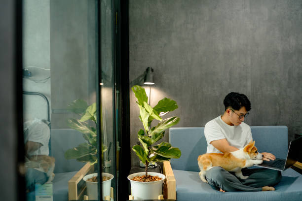 istock Blogger writing an article with cute Corgi dog besides. 1347044163