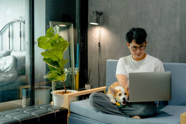 istock Blogger writing an article with cute Corgi dog besides. 1347044225