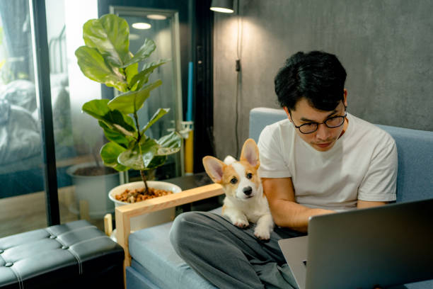 istock Blogger writing an article with cute Corgi dog besides. 1347044248