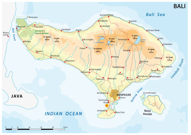wektorowa mapa drogowa indonezyjskiej wyspy bali - bali cartography map island stock illustrations