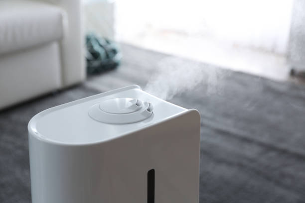 istock Modern air humidifier at home, closeup view 1347050865