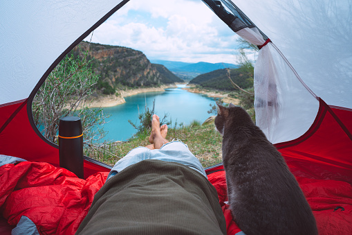 Man with his lovely cat lying and relaxing in tent in nature. Enjoying view of lake and mountains. Together with true friend. Hiking with cat. High quality photo