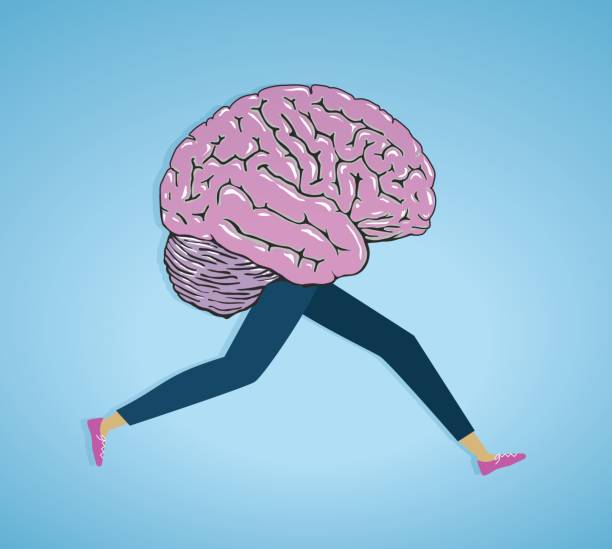 Running brain. Vector illustration. Brain and running legs. job retraining stock illustrations