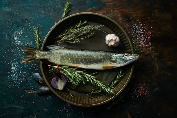 Pike fish with spices and herbs. Preparation. On a dark kitchen background. Top view.