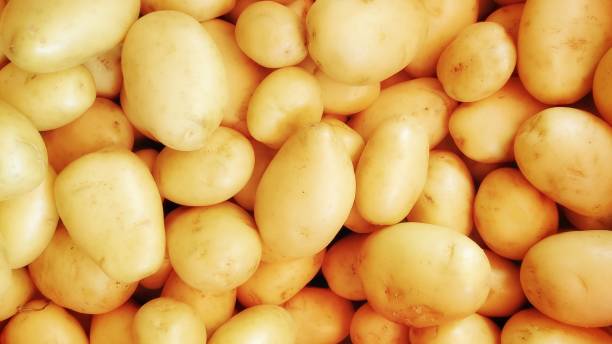 patate - healthy eating macro vegetable farm foto e immagini stock