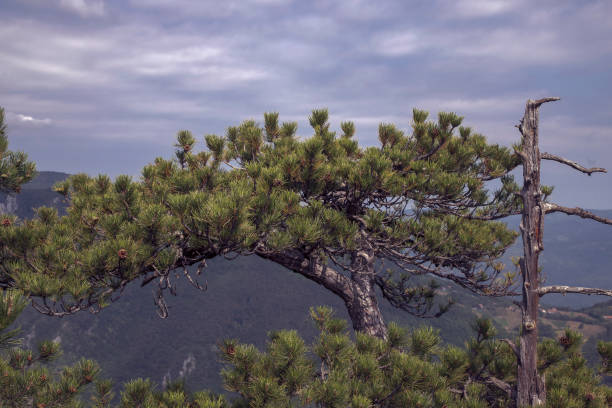 istock View of the mountain peak 1347066067