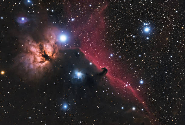 la nébuleuse de la tête de cheval à orion - horsehead nebula photos et images de collection