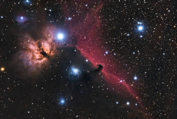 オリオンの馬頭星雲 - horsehead nebula ストックフォトと画像