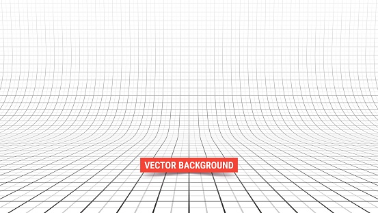 Studio backdrop with mesh. Curved perspective grid with major and minor lines. Vector illustration
