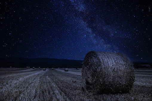 Milky way over the rolled haystacks at the field