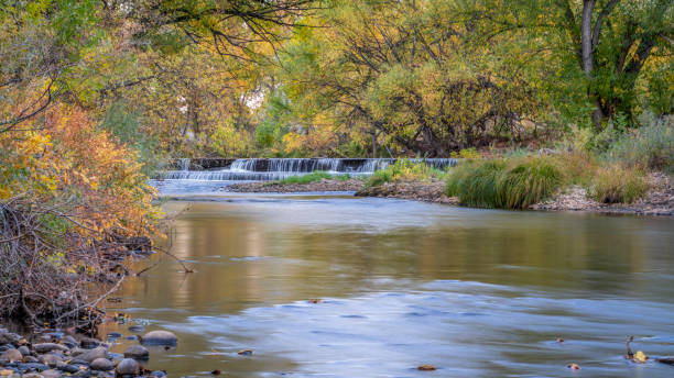 istock fall scenery of Cache la Poudre River 1347072565