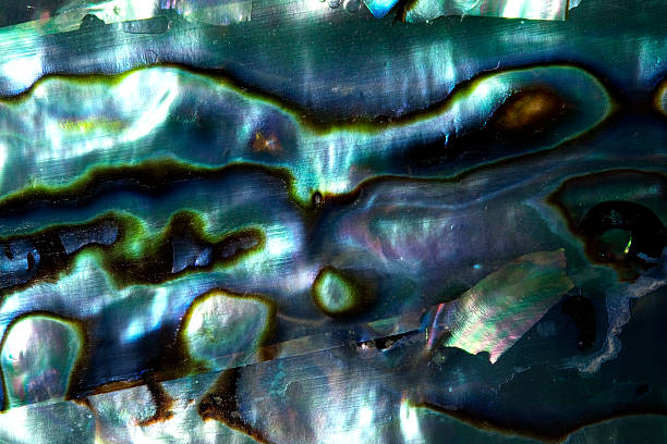 istock Macro shot of sea shell's pearl texture background 134707314