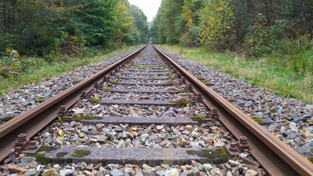 istock Railway tracks in the autumn forest 1347073570
