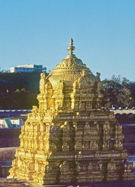 sri venkateswara swamy vaari tempel, - india statue carving history stock-fotos und bilder