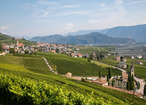 istock Caldaro, Wine Route, South Tyrol 1347076101