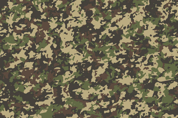 tło wzoru kamuflażu. ilustracja wektorowa eps 10 - camouflage stock illustrations