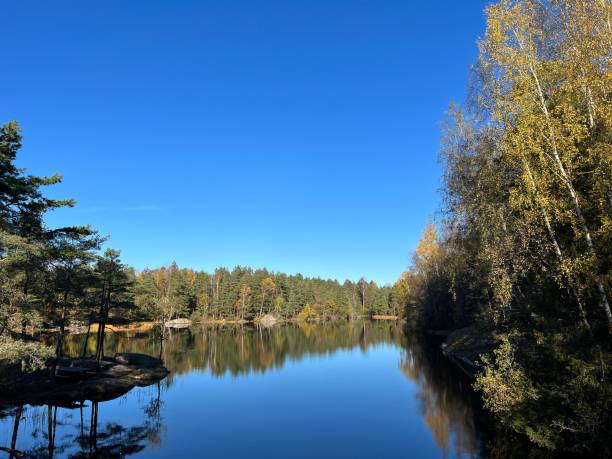 istock QUITE AFTERNOON IN THE LAKE 1347077722