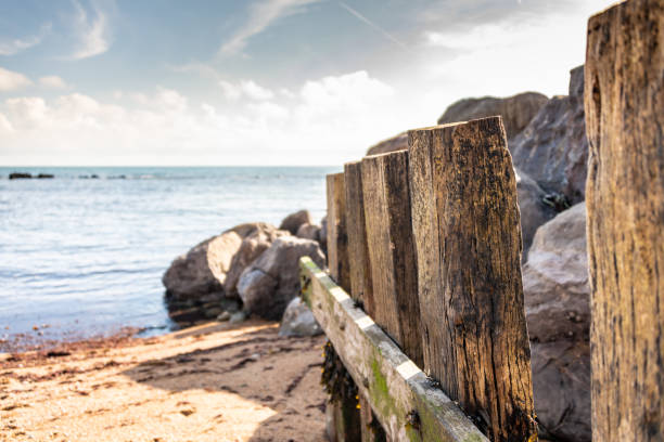 Wooden sea defence by the beach