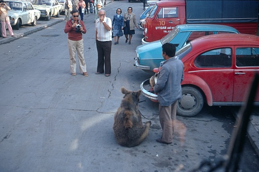 Istanbul, Türkei, 1979. Tourists consider and photograph a bear tamer in a street in Istanbul.