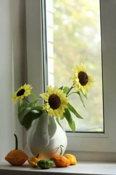 small pumpkins and a vase with sunflowers on the background of the window