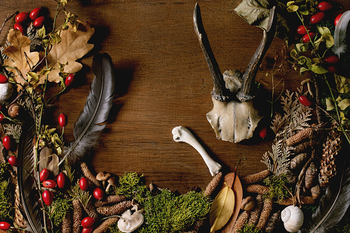 Fairy tale ambiance magic eerie autumnal forest background. Autumn leaves, moss, skull, bone, feather, fir cones, snail shell over wooden surface. Creative alyout. Frame of plants