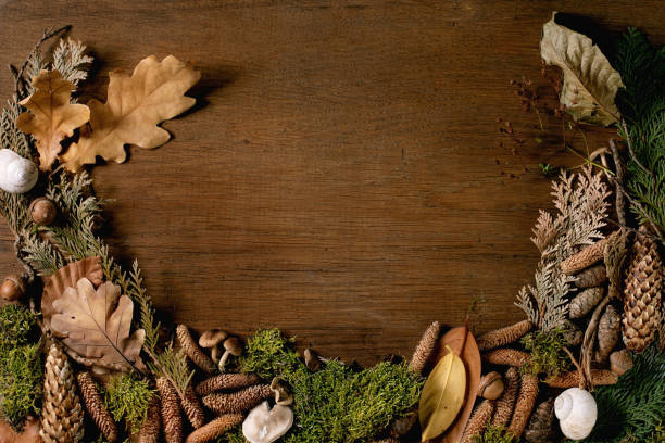 istock Fairy tale ambiance magic autumnal forest background 1347082532