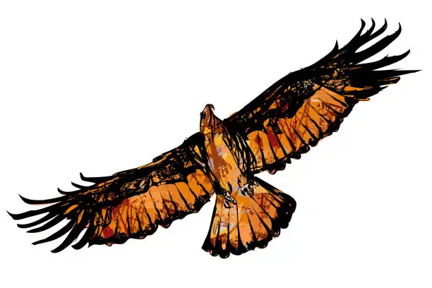 Vector illustration of Eagle flying searching for pray