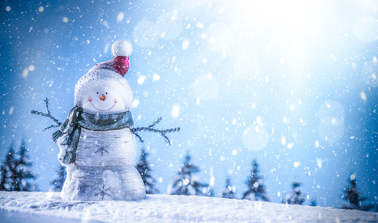 Smiling Snowman in a Beautiful Magic Winter Day