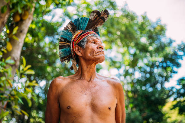 indio de la tribu pataxó, con tocado de plumas. - indigenous culture fotos fotografías e imágenes de stock