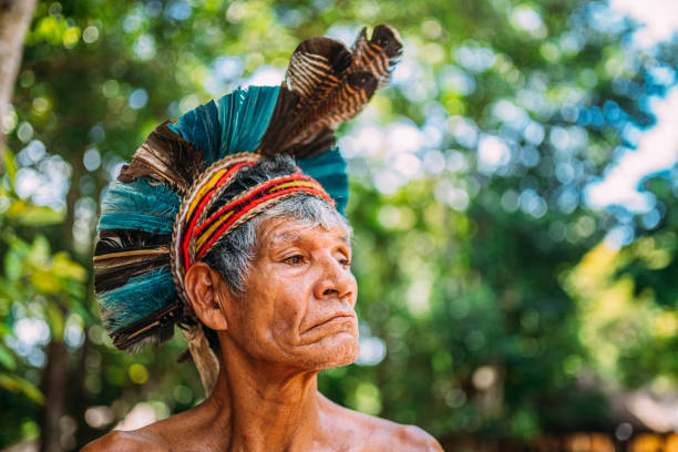 indio de la tribu pataxó, con tocado de plumas. - indigenous culture fotografías e imágenes de stock