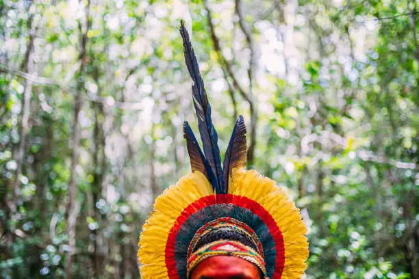 Photo of Indian from the Pataxó tribe with feather headdress looking to the right.