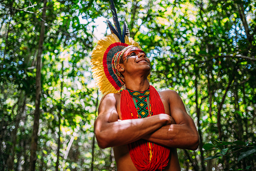 Indio de la tribu Pataxó con tocado de plumas mirando a la derecha. photo