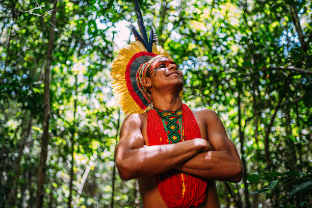 右を見て羽の頭飾りを持つパタキソ族のインド人。 - ブラジル文化 ストックフォトと画像