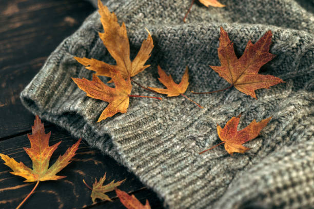 istock Autumn composition. Knitted plaid or scarf and fallen leaves on dark grey background. Hello Autumn, Cozy atmosphere. Flat lay, copy space. 1347085798