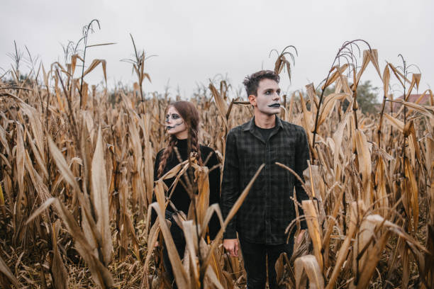istock Couple in a cornfield, Halloween concept 1347086907