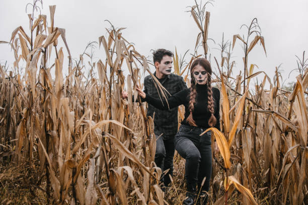istock A disguised couple breaking through a cornfield 1347086994