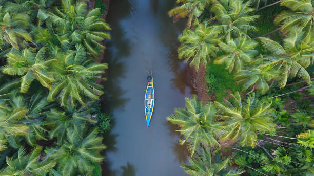 kerala most beautiful place of india - hintli fotoğraflar stok fotoğraflar ve resimler