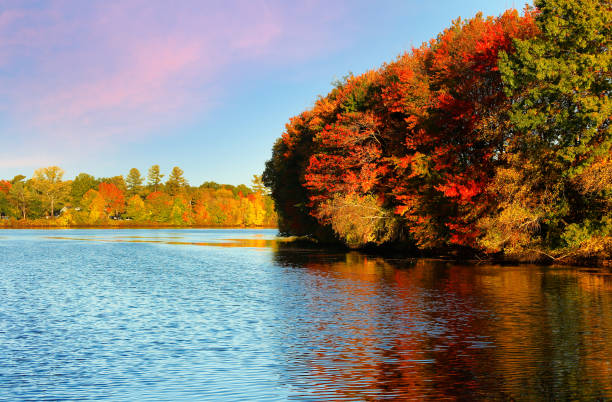istock Beautiful New England Fall Foliage with reflections at sunrise, Boston Massachusetts. 1347089023