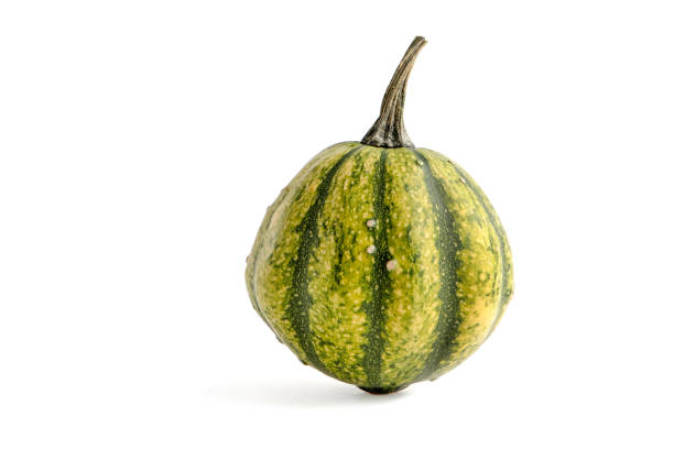 istock Decorative pumpkin of green color isolate on a white background 1347091395