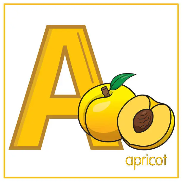 Vector illustration of Vector illustration of Apricot with alphabet letter A Upper case or capital letter for children learning practice ABC