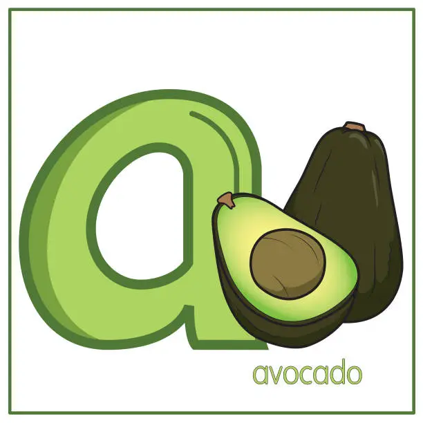 Vector illustration of Vector illustration of Avocado with alphabet letter A Lower case for children learning practice ABC