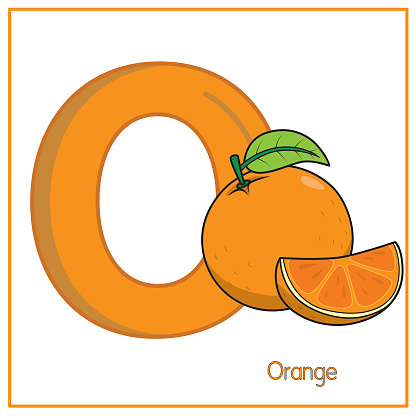 Vector illustration of Orange  with alphabet letter O Upper case or capital letter for children learning practice ABC