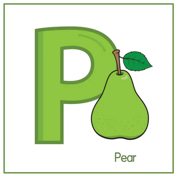 Vector illustration of Vector illustration of Pear with alphabet letter P Upper case or capital letter for children learning practice ABC