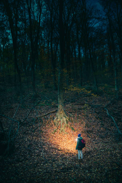 istock Woman hiking through the forest at night 1347095967