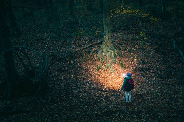 istock Woman holding flashlight hiking at night 1347096005