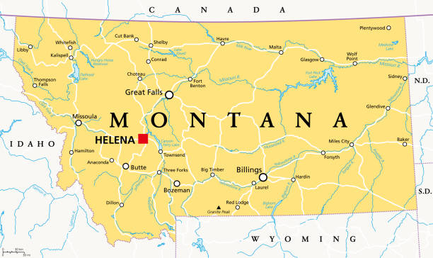 монтана, mt, политическая карта, штат сша, страна большого неба - montana stock illustrations