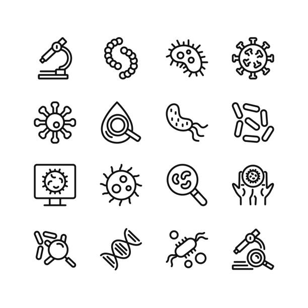 stockillustraties, clipart, cartoons en iconen met virus line icons. germs. set of outline symbols, simple graphic elements, modern linear style black pictograms collection. vector line icons set - bacterial mat