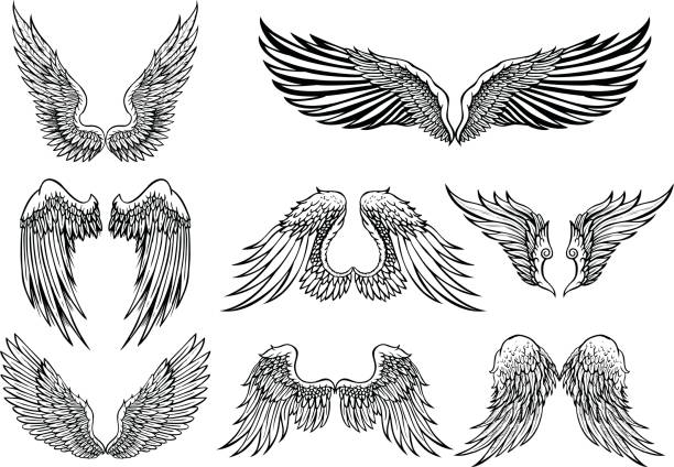 ilustraciones, imágenes clip art, dibujos animados e iconos de stock de wings - alas angel