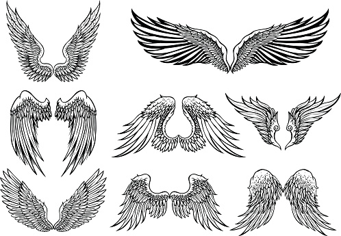 Set of 8 wings graphic elements